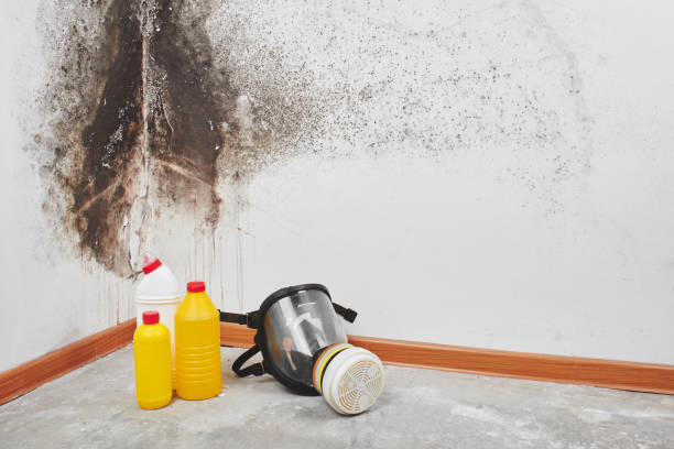Best Crawl Space Mold Removal  in Litchfield Beach, SC