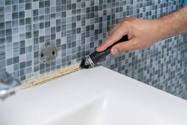 Litchfield Beach, SC Mold Removal Company